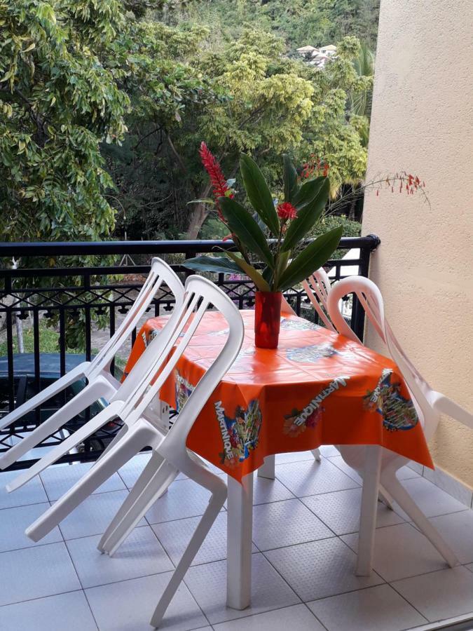 Holidays In Martinique - Ravenala Сент-Анн Екстер'єр фото