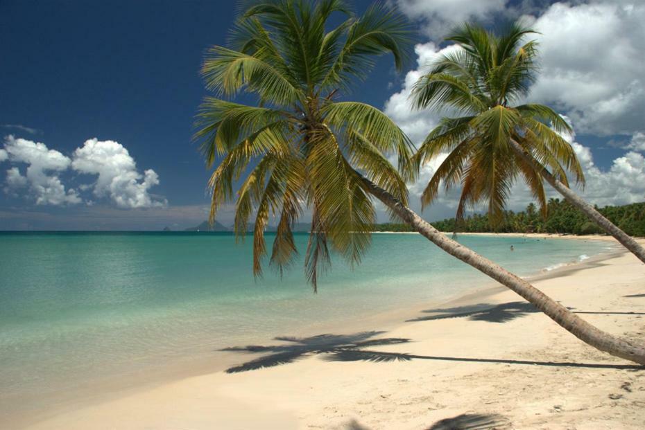 Holidays In Martinique - Ravenala Сент-Анн Екстер'єр фото