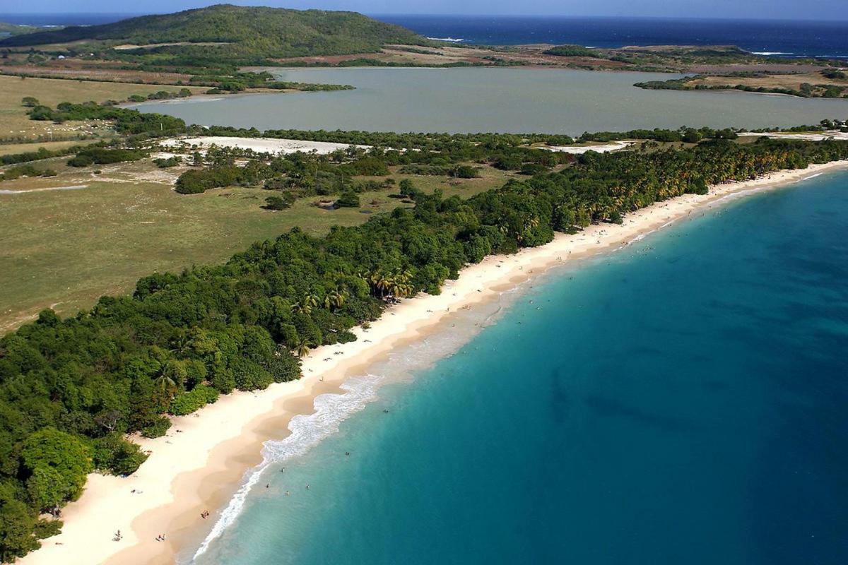 Holidays In Martinique - Ravenala Сент-Анн Екстер'єр фото