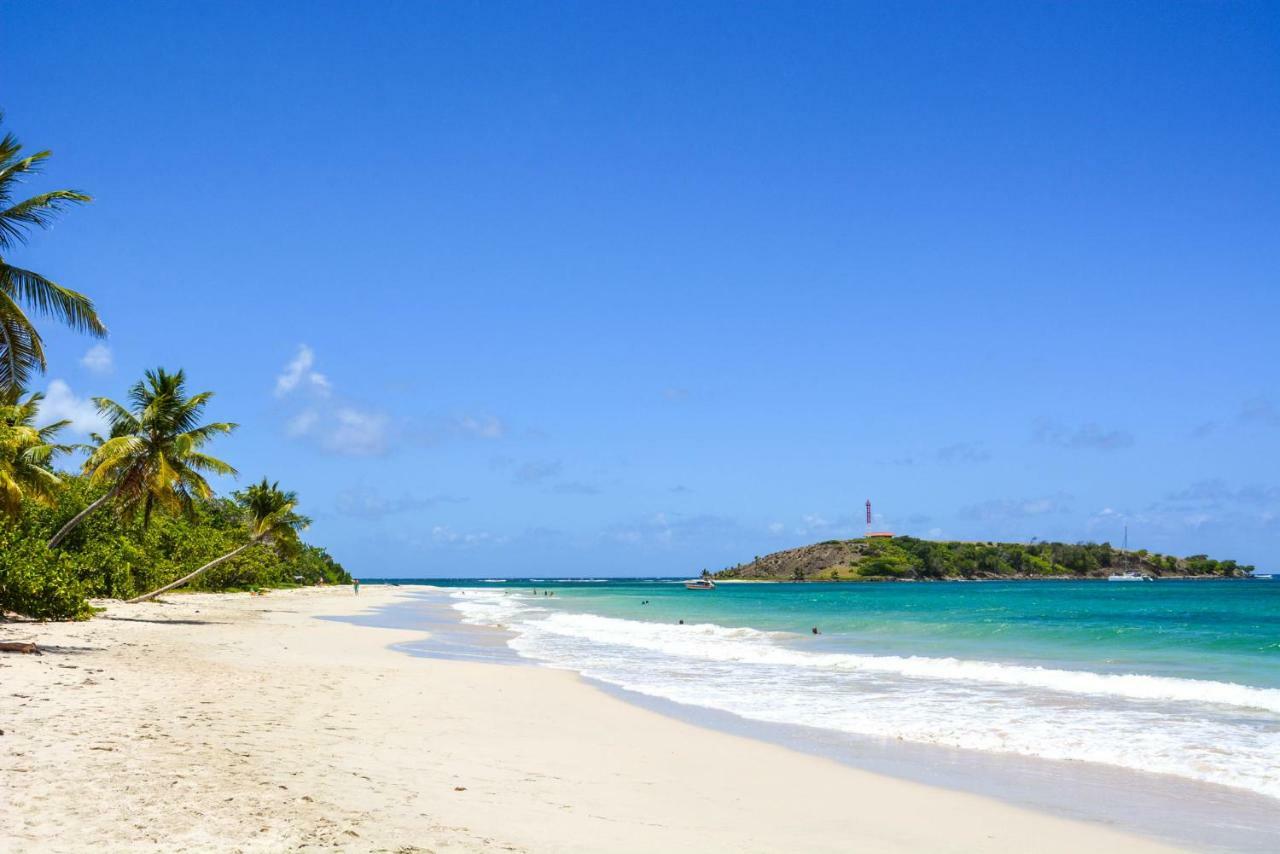 Holidays In Martinique - Ravenala Сент-Анн Екстер'єр фото